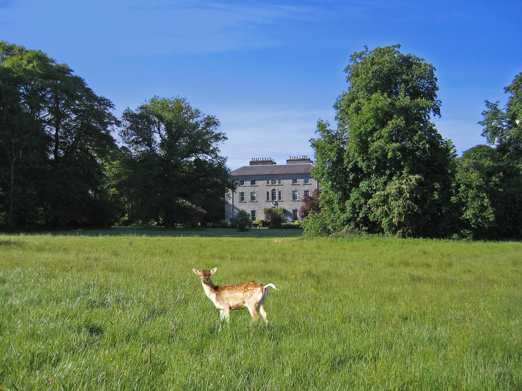 Coopershill House Hotel Riverstown  Exterior foto